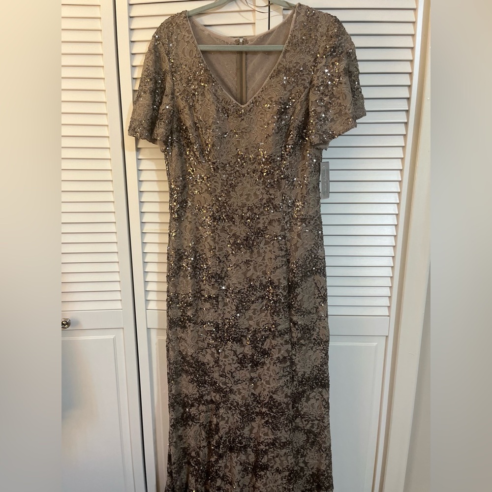 Brand new Alex evenings beaded gown